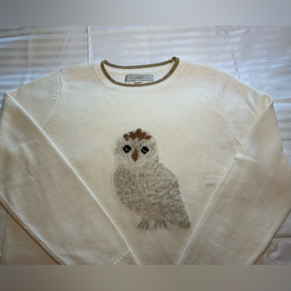 Ann Taylor LOFT Owl Cream Crewneck Sweater women’s size Large - Picture 3 of 9